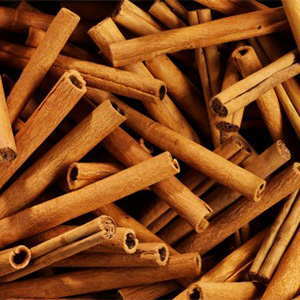 Cinnamon Stick